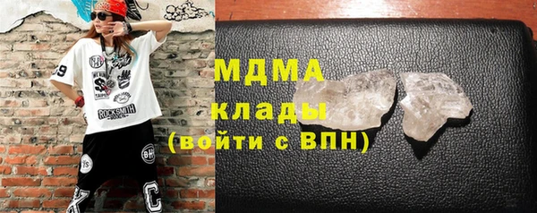 шишки Корсаков