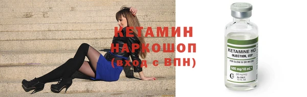 шишки Корсаков