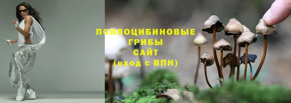 шишки Корсаков